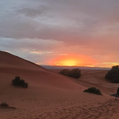 WhatsApp Image 2024-10-28 at 13.57.23 (6)