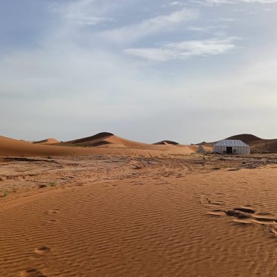 WhatsApp Image 2024-11-25 at 16.32.22