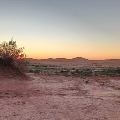 WhatsApp Image 2024-12-13 at 19.10.43 (1)